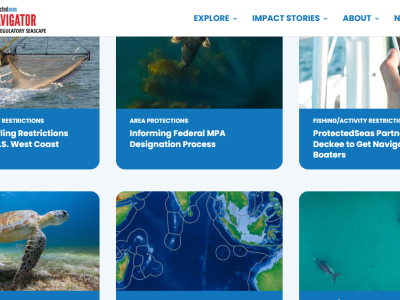 Impact-Stories-ProtectedSeas-Navigator
